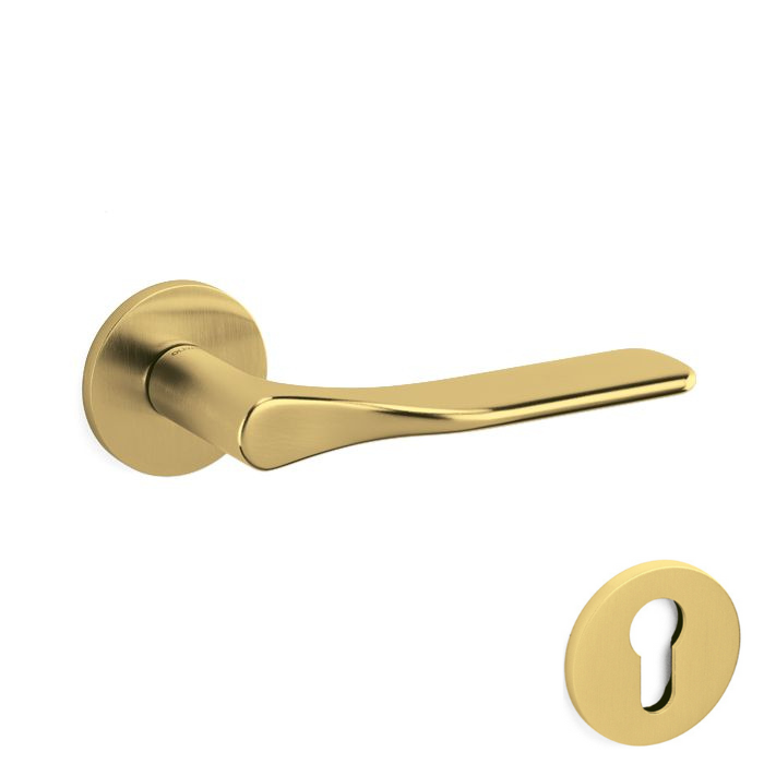 OLIVARI PADDLE M264B